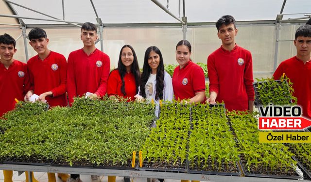 Erzincan'da tarım öğrencileri 110 bin fide yetiştirdi, halka sundu