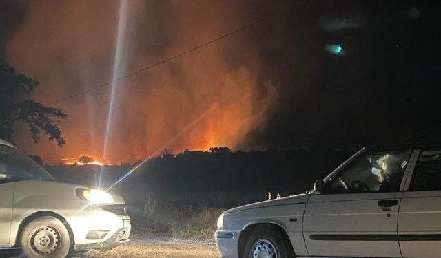 Yangın kentin her yerini sardı: Başkan'dan acil yardım çağrısı