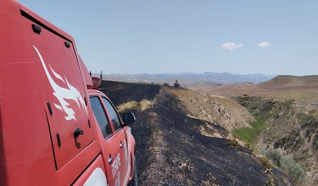 Arpa tarlasında çıkan yangın ağaçlara zarar verdi