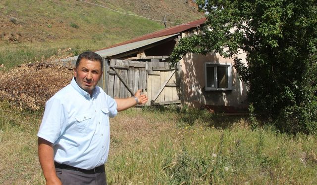 Erzincan’ın komşu ilçesinde hayvancılık dert oldu