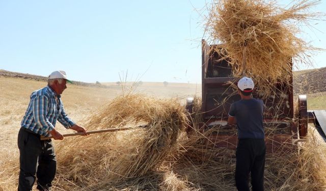 Erzincanlı çiftçiler 36 derece sıcaklıkta kışlık yiyecek hazırlıyor