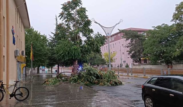 Erzincan Valiliği'nden uyarı geldi!