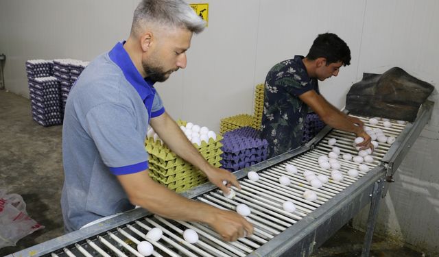 Yumurta tüketenlerin dikkatine: Son tüketim tarihi değişti