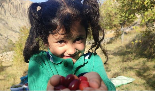 Erzincan’ın  doğal şifası: Şerbeti,çayı,meyvesi oluyor!