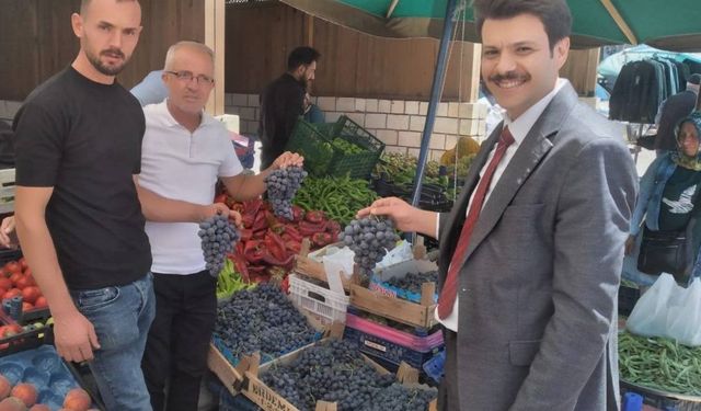 Cimin Üzümü İlk Hasatla Tezgâhlarda: Peki fiyatı nedir?