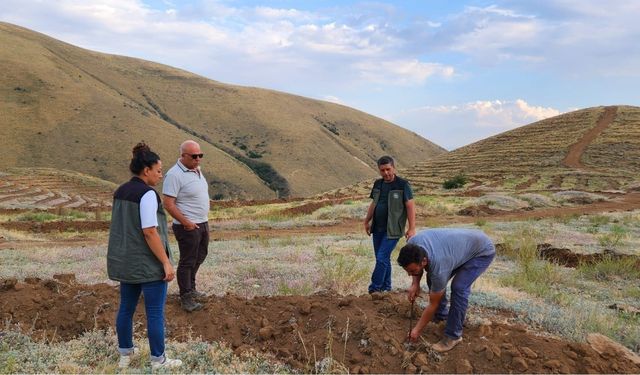 Orman Bölge Müdürü Ayatay Erzincan’da