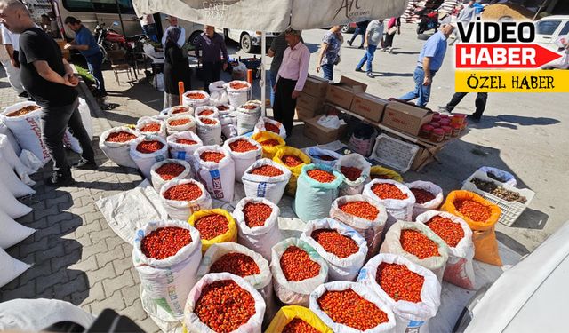 Erzincan pazarlarında kuşburnu ve kızılcık bereketi. İşte fiyatları