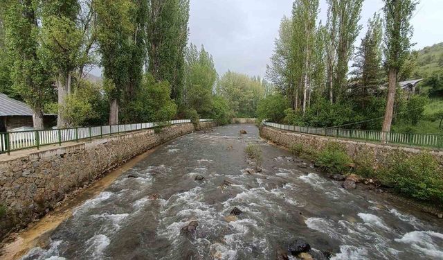 Kayıp 72 yaşındaki Ali Keskin'in cansız bedeni derede bulundu