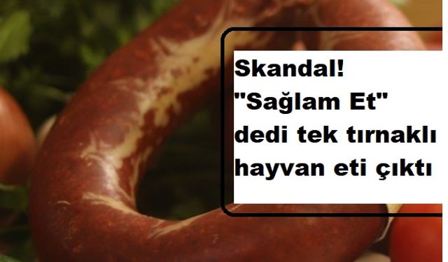 Skandal! "Sağlam Et" dedi tek tırnaklı hayvan eti çıktı