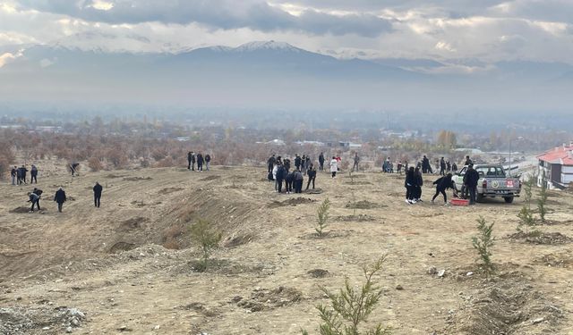 Erzincan’da dağa taşa umut ekiyorlar…