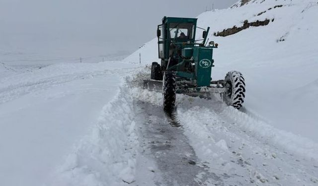 DSİ'nin yeşil karıncaları Erzincan'da...