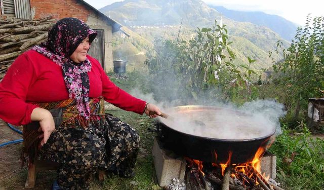 Elma pekmezi mesaisi başladı