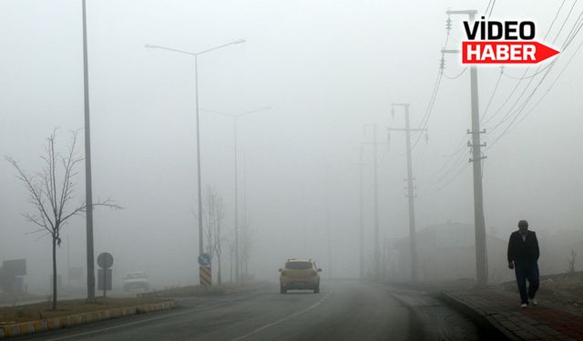 Erzincan’da yoğun sis etkili oldu