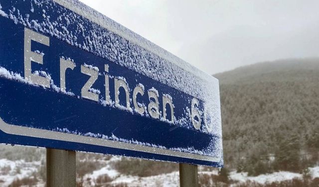 Erzincan'da Bugün Hava Durumu (1 Aralık 2024)