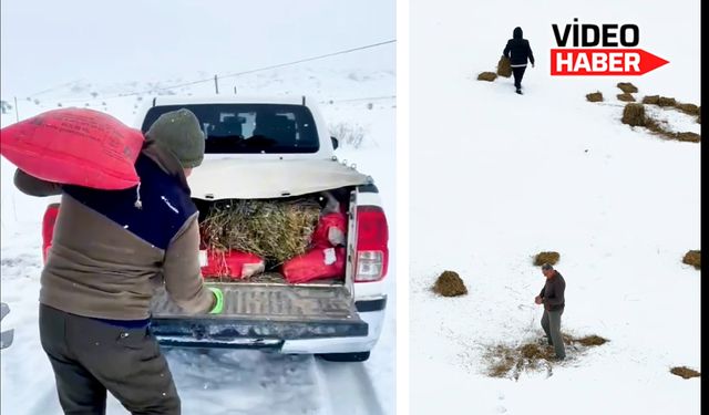 Erzincan’da yaban hayvanlar unutulmadı