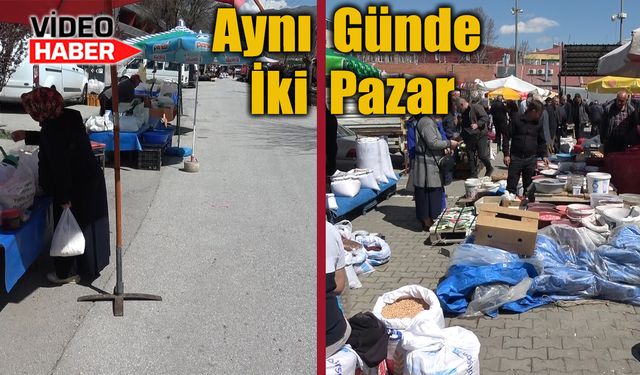 Erzincan’da biri sinek avlarken diğer iş yapıyor