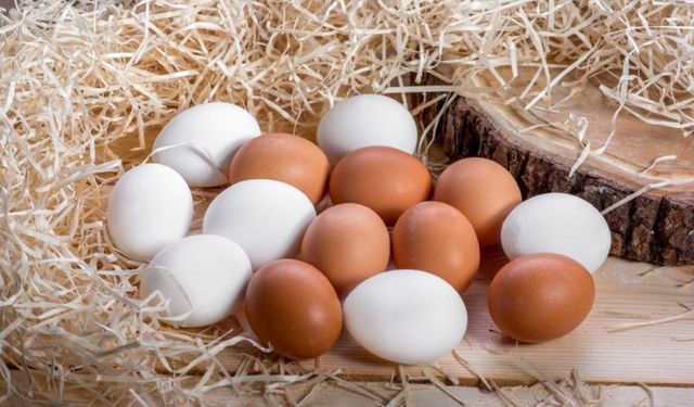 Artık kahverengi yumurta bulamayabiliriz. Nedeni şaşırtıcı
