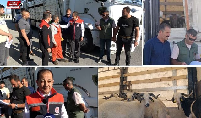Erzincan’da 2.424 hayvan kontrolden geçti!