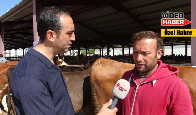 Erzincan’da kurbanlık fiyatları ne durumda?