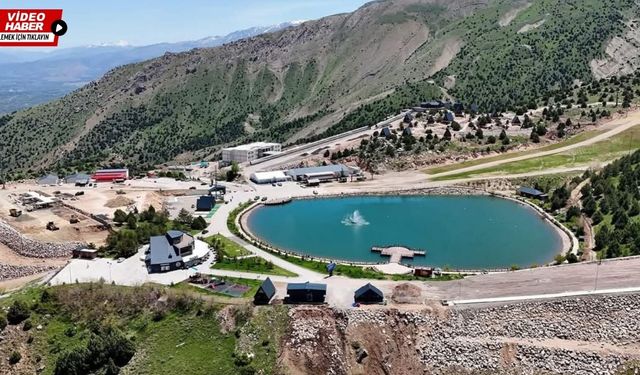 Erzincan’ın kıymetlisine talipli çıkmadı