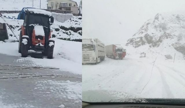 Aşkale ve Karlıova'yı kar vurdu Erzincan eksiyi gördü