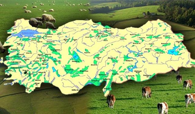 Türkiye'nin kaç ovası var? Erzincan Ovasının özelliği nedir?