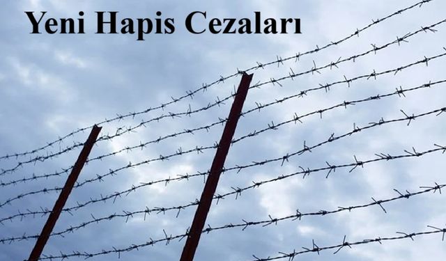 "AF" iddialarına Bakandan açıklama; yeni hapis cezaları geliyor