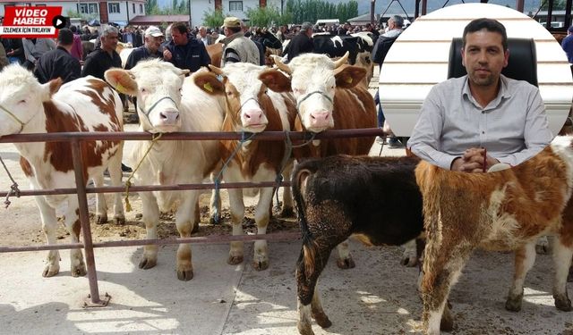 Erzincan Veteriner Hekimler Odası’ndan hayati uyarılar!