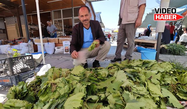 Erzincan’ın meşhur üzüm yaprağı ne kadar?