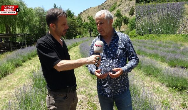 Erzincan'ın renk cümbüşünün mimarı konuştu
