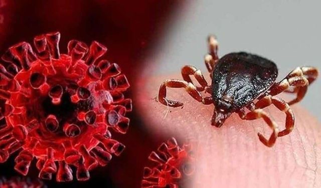 Sivas'tan acı haber; bir ayda 8 can aldı