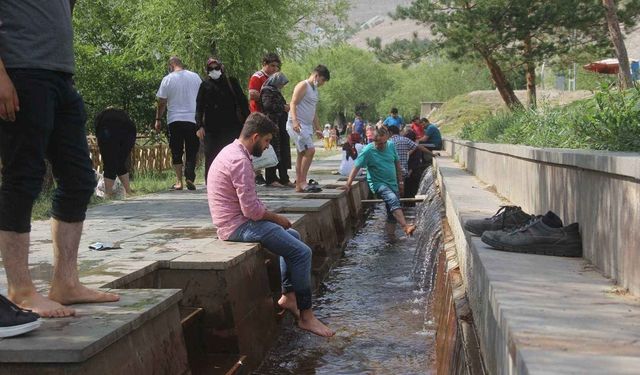 Yazın bu sıcaklarında yemeniz ve dikkat etmeniz gerekenler