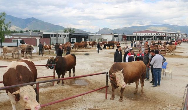 Erzincan’da Destek Başvuruları Başladı