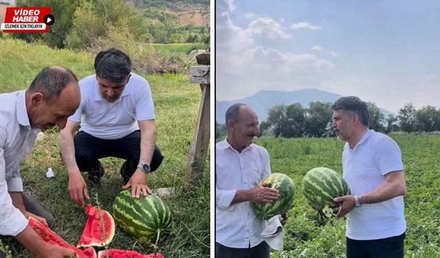 Erzincan'ın kan kırmızısı: Karpuz tarlasına başkan Kabadayı indi!