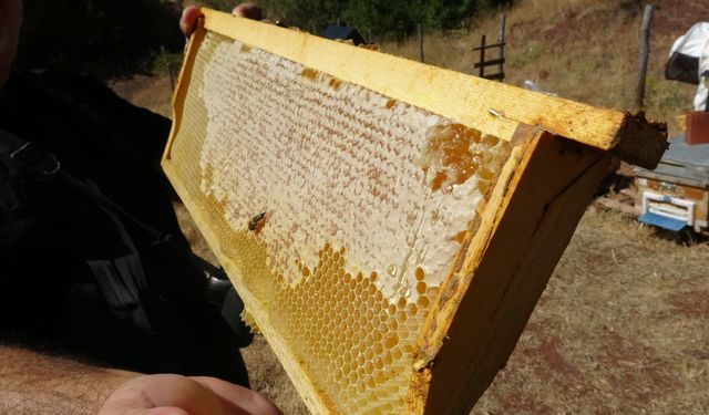Yeni evlenen çiftler dikkat: Mutlaka bal tüketin
