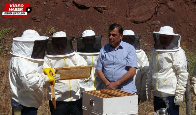 Erzincan Geven Balında ilk hasat sevinci