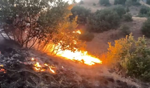 Erzincan’da orman yangını
