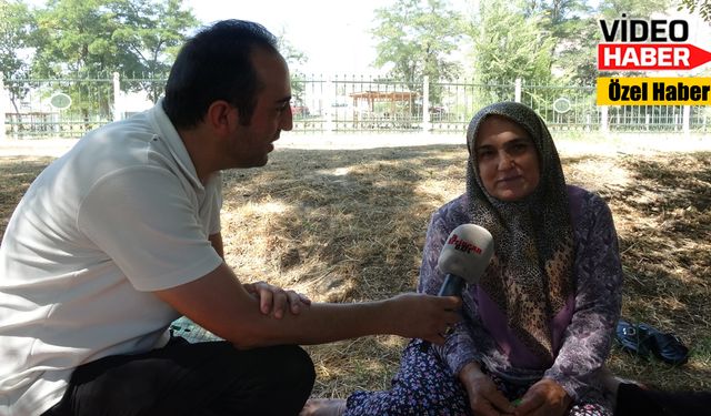 Erzincan’ın serin kaçamağı sıcak havalarda boş kaldı
