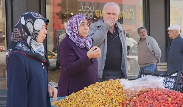 Erzincan’da 32 yıllık tezgâh: Erzincan’ın dağlarından gelen şifa
