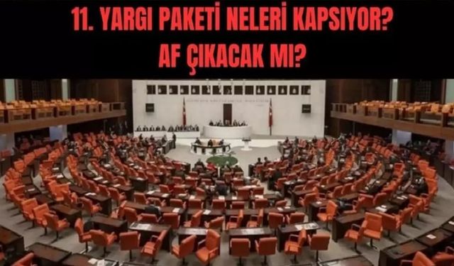 Trafik ve suç cezaları artacak
