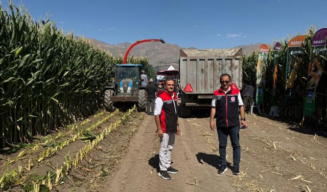 Erzincan'da silajlık mısır hasadı gerçekleştirildi