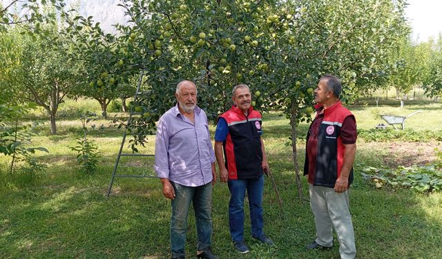 Erzincan’da elma bahçelerine tarım desteği