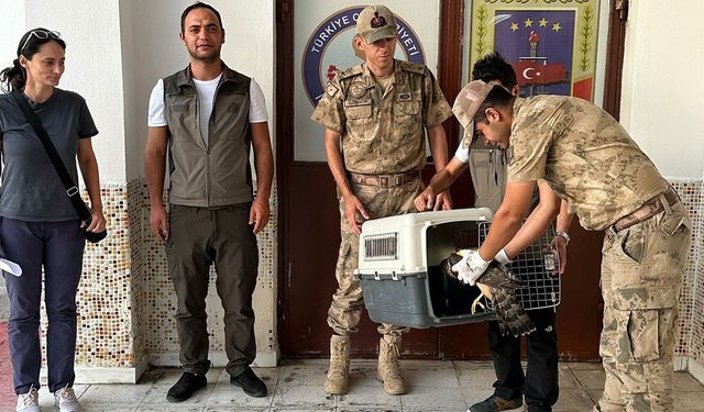 Erzincan'da Jandarma'dan duyarlı davranış...