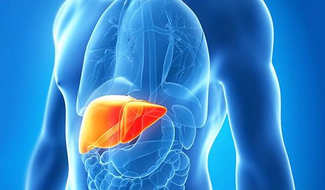 Karaciğer yağlanması gözle görülmeden hayatınızı tehdit edebilir!