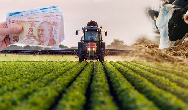 Tarımsal girdi enflasyonu yükselişi sürüyor