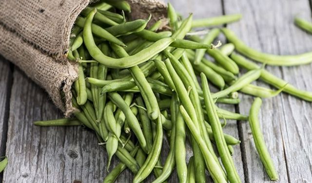 Taze Fasulyenin faydaları nelerdir?