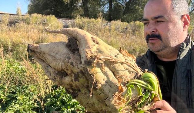Üreticiden gelen yoğun tepki kararı iptal ettirtti...