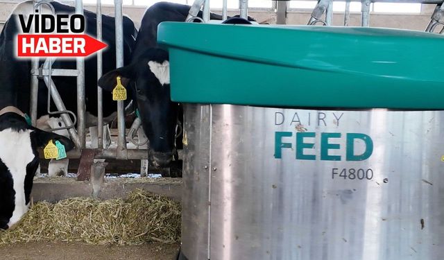 Erzincan'da bir robotun günlüğü...