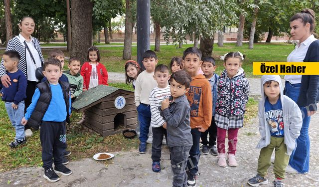 Erzincan’da minik yüreklerin hayvan sevgisi