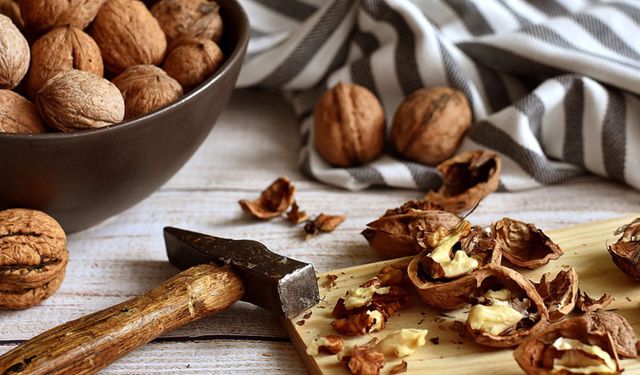 Her gün ceviz yerseniz vücudunuza neler olur?